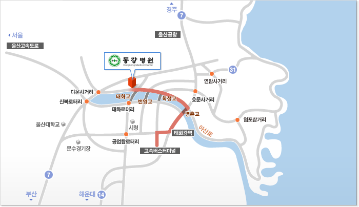 고속버스터미널울산역