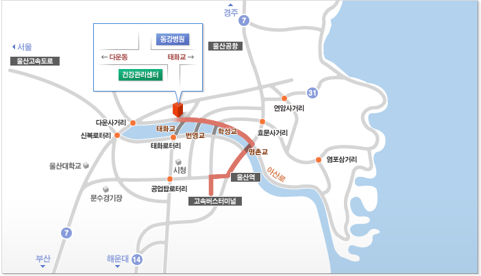 고속버스터미널울산역